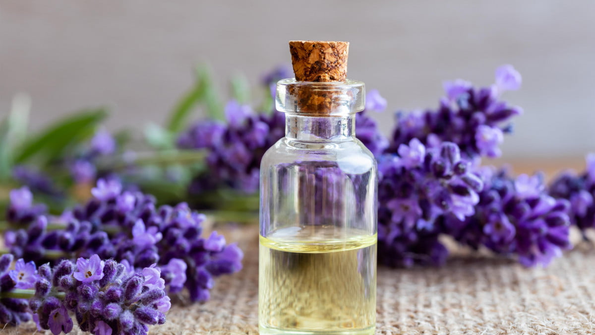 Comment utiliser les huiles essentielles de lavande