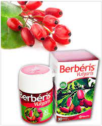 Berbèris Vulgaris 30 gellules – Image 2