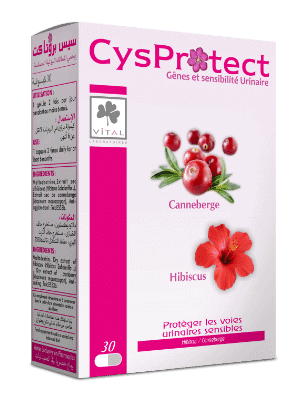 VITAL CYSPROTECT - 30 Gelules – Image 2