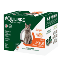 E&I Effilés Energie Poulet Courges Agrumes 12x85g