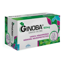 GINOBA 60 MG