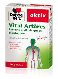 AKTIV VITAL ARTERES 90 Gélules – Image 2