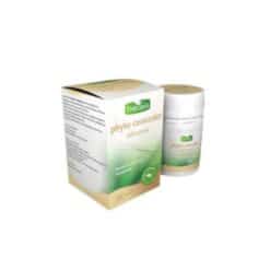 Therapia phyto concealer 60 gelules