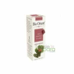 BIO ORIENT Huile essentielle de Cyprès, 10ml
