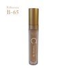 AZAL Anti-cernes "Be Perfect" 65 B65
